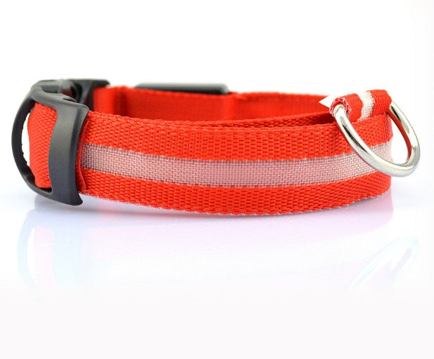Glow LED Dog Collar for Safer Evening Adventures