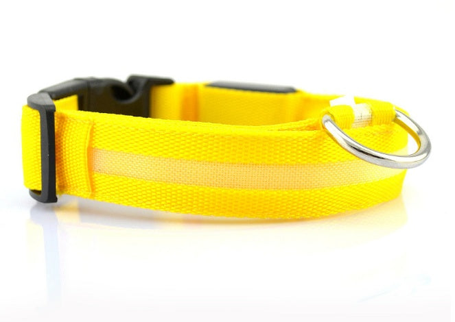 Glow LED Dog Collar for Safer Evening Adventures