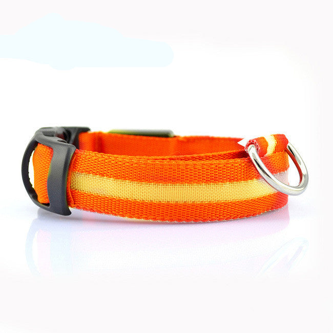 Glow LED Dog Collar for Safer Evening Adventures