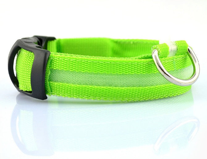 Glow LED Dog Collar for Safer Evening Adventures