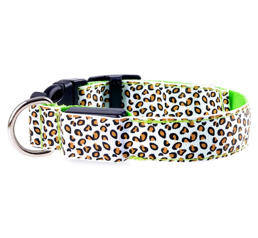 Rechargeable LED Dog Collar – Bright, Safe Night Walks ✨🐶
