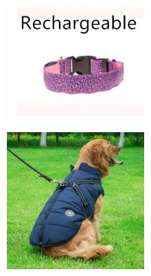 Rechargeable LED Dog Collar – Bright, Safe Night Walks ✨🐶