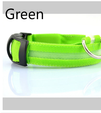 Glow LED Dog Collar for Safer Evening Adventures