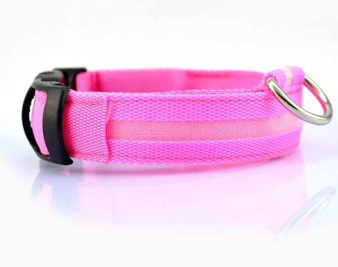 Glow LED Dog Collar for Safer Evening Adventures