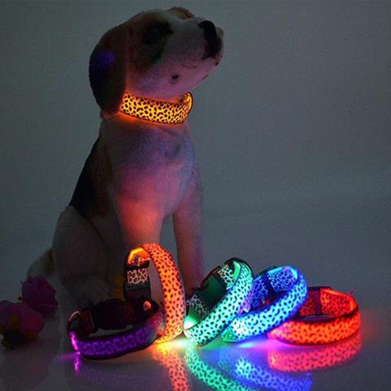 Rechargeable LED Dog Collar – Bright, Safe Night Walks ✨🐶