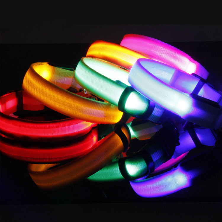 Glow LED Dog Collar for Safer Evening Adventures