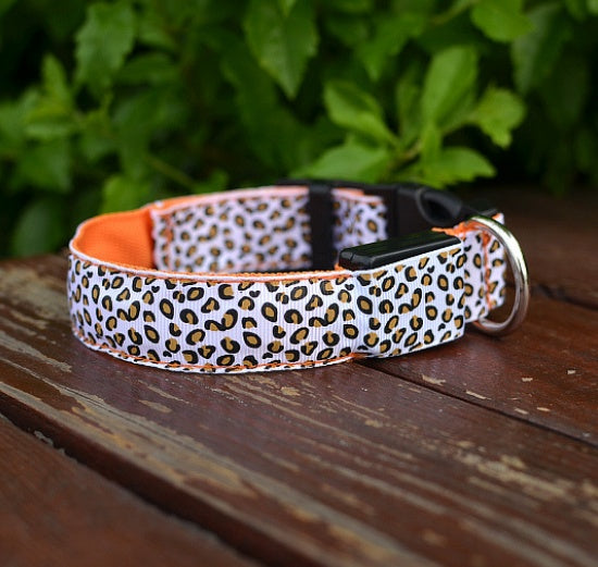 Rechargeable LED Dog Collar – Bright, Safe Night Walks ✨🐶
