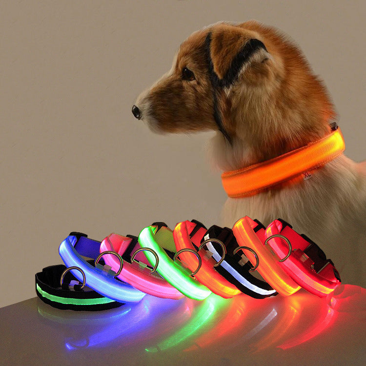Glow LED Dog Collar for Safer Evening Adventures