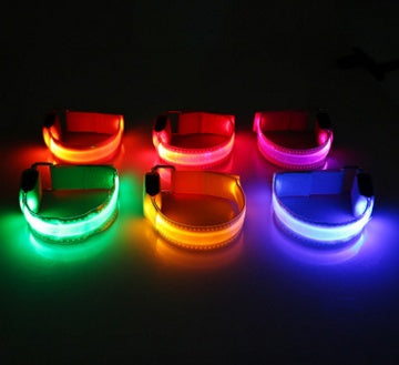 Glow LED Dog Collar for Safer Evening Adventures