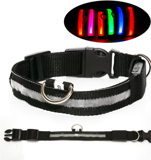 Glow LED Dog Collar for Safer Evening Adventures