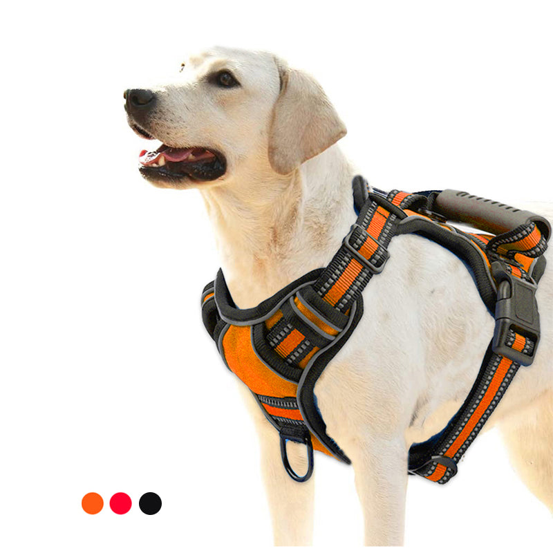 Breathable Reflective Dog Harness for Safer Night Walks