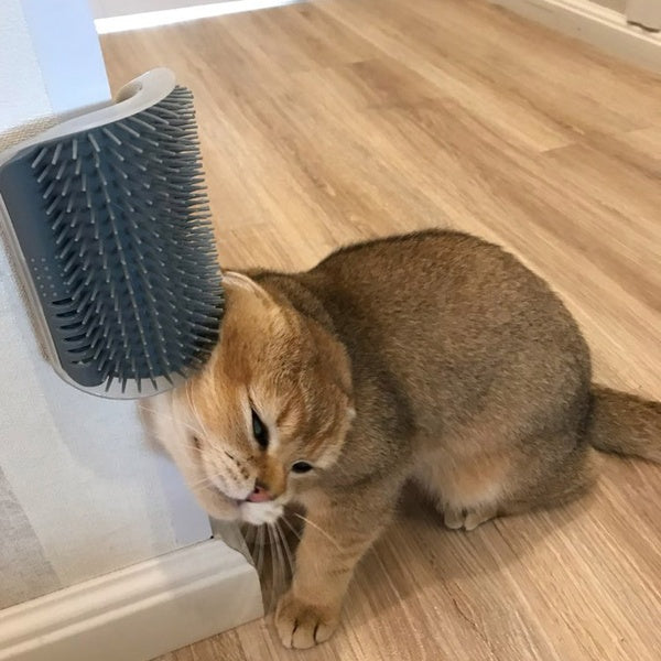 Wall-Mounted Cat Grooming Brush for Happy, Itch-Free Cats